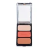 Cargo Contour Palette - # Monaco 3x6g