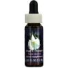 FES FLOWER ESSENCES FES Organic Quintessentials Flower Essence Angel's Trumpet 30ml